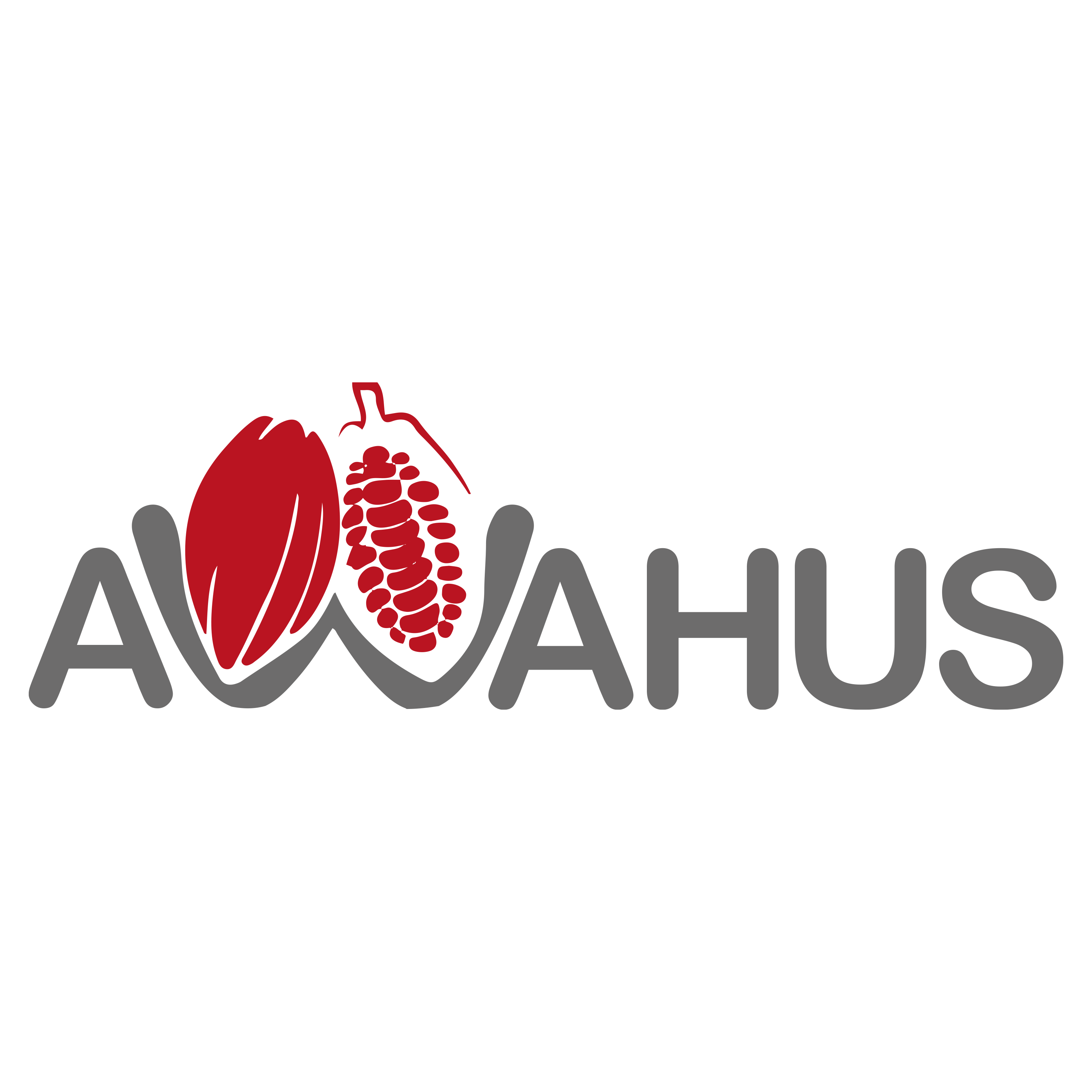 Logo Awahus